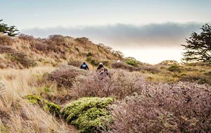 Hikers on a trail at Bodega Head. Photo courtest California State Parks.