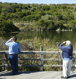 The Hole-in-the-Head pond; once a site for a nuclear reactor, now a bird refuge. Photo by Michael Maloney, S.F. Chronicle.