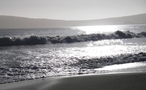 Waves roll from distant Tomales Bay onto the beach at Bodega. Photo by John Weed.
