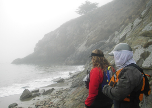 Morning weather report: Fog. Heavy at times. Photo by John Weed.