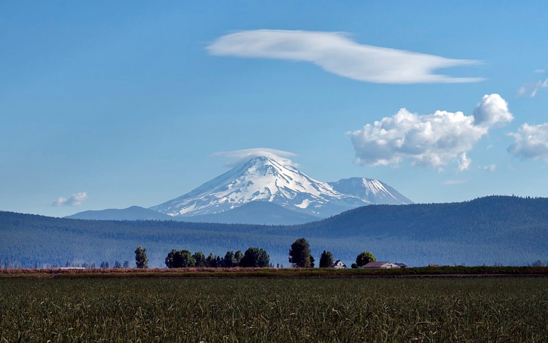 Archives: Shasta Preacher