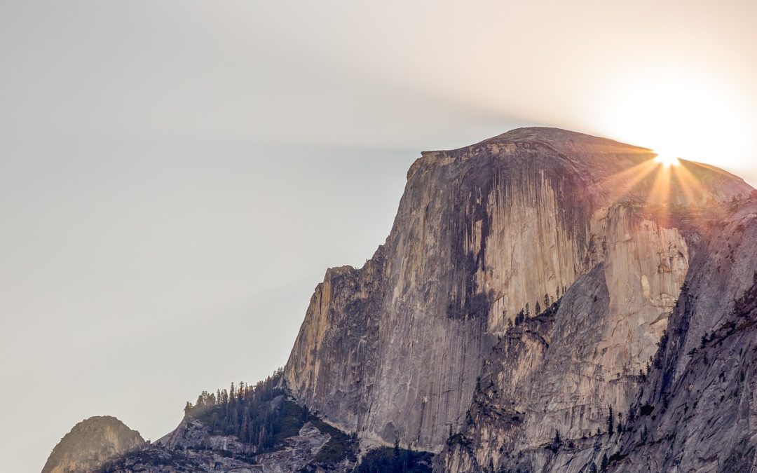 Archives: Outdoor Business